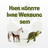 Hier könnte Ihre Werbung sein