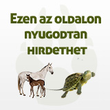 Ezen az oldalon nyugodtan hirdethet