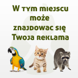 W tym miejscu może znajdować się Twoja reklama