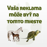 Vaša reklama môže byť na tomto mieste