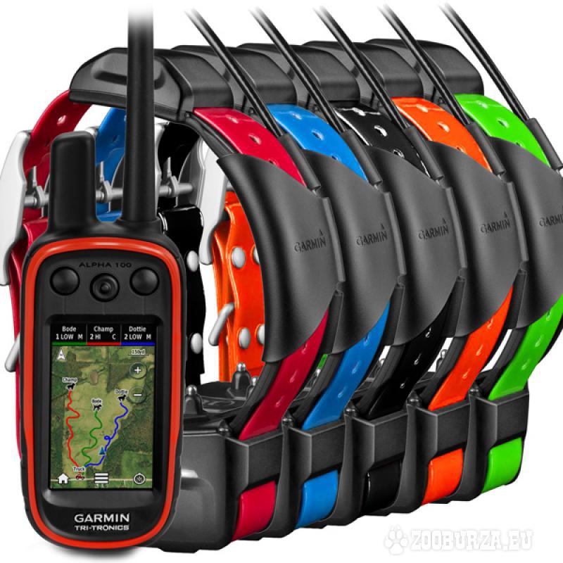 garmin sport dog