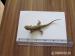Pogona Henrylawsoni - Predaj