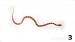 Pantherophis guttatus - Prodej