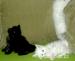 Rodowodowe Maine Coon - Sprzedaż
