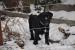 Šteniatka cane corso s PP - Predaj