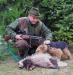 Welsh terrier s PP - Predaj