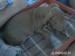 Americky pitbullterier Red Nose s PP - Predaj