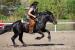 Jazdenie na koni, výučba, vychádzky, prenájom - Predaj