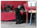 Fenka s PP Cane Corso  - Prodej