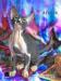 Don Sphynx koťátka s PP - Prodej