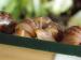 Achatina immaculata - Darování
