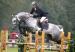 Klisna KWPN Wallenberg (Stakkato X Libero H)  - Prodej