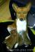 Basenji - Prodej