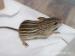 Myš zebrovaná (Lemniscomys barbarus) - Prodej