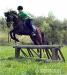 Slovensky sportovni pony - Prodej