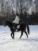 Slovensky sportovni pony - Prodej