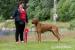 Rhodéský Ridgeback štěně - Prodej