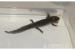 Axolotls Kekse und Wildlinge - Verkauf