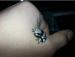 Amazon milk frog babys - Sale