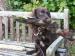 Stolen Chocolate Cocker Spaniel - Sale