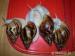 Prodám Achatiny - Prodej