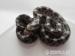 Pantherophis guttatus - Prodej