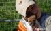 Jack Russell Terrier - Prodej