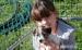Jack Russell Terrier - Prodej