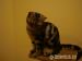 Britská whiskas kočička s PP - Prodej