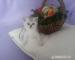 Britská stříbřitá koťátka s PP - Prodej