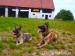 BO malinois - Prodej