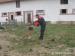 BO malinois - Prodej