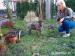 Tříměsíční fenečka Roxy, kříženeček - Prodej