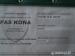 8 r. kobylka, slovensky plnokrvnik s papierm - Predaj