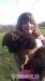 Nemecky ovčiak šteniatko - Predaj
