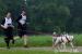Labrador s evropským saňovým psem - Prodej