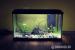 Aquarium KOMPLET, 60 L, NOVÉ , ŽIVÉ RYBY/ RASTLINY - Predaj