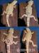 Agama vousatá - Pogona Vitticeps - Prodej