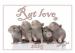 Stolní potkaní kalendář "Rat love" 2015 - Prodej