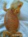 Agama vousatá Citrus a Red/Coral red - Prodej