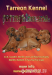 Rhodéský ridgeback - štěňátka - Prodej