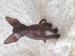 Sphynx-Peterbald s PP - Predaj