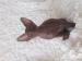 Sphynx-Peterbald s PP - Predaj