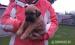 predam steniatka cane corso - Predaj
