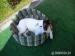 Prodám fenku Jack Russell terier - Prodej
