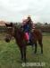 Quarter horse kr. kobyla - Predaj