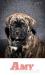 Bullmastiff - Predaj