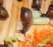 Achatina - Oblovky - Prodej