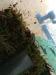 Phantasmal dart frogs - Sale