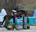 Pony do vyššího sportu - Prodej